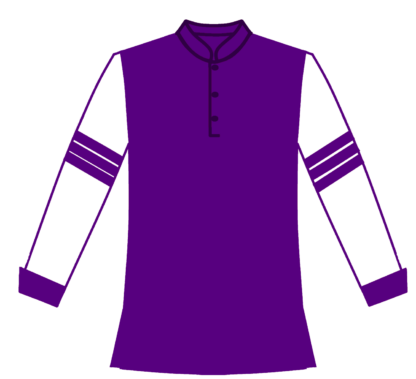 Purple with wht sleeve and bars