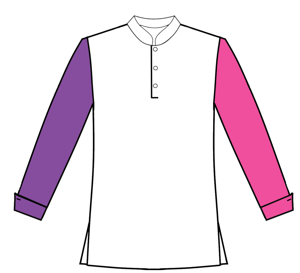 162 purple and pink sleeves pullover